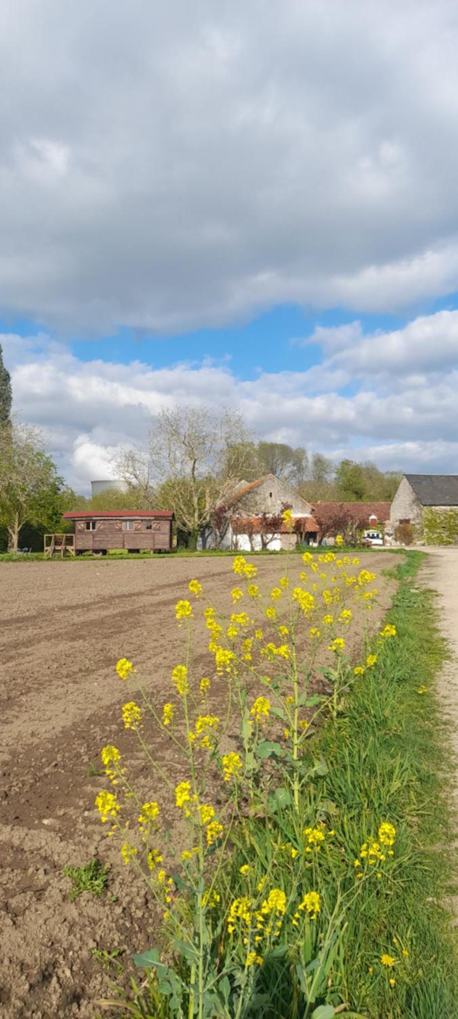 La Ferme De L'Isle Et Sa Roulotte Bed and Breakfast Avaray Buitenkant foto